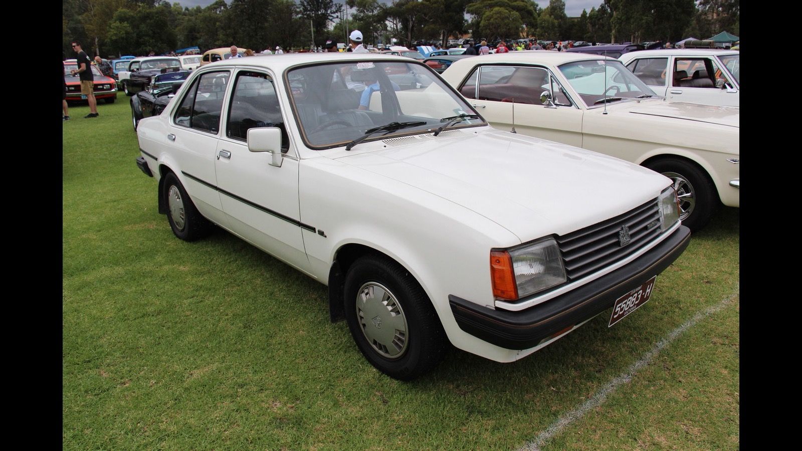 White 1984 Holden TG Gemini SL sedan on grass, front three-quarter view