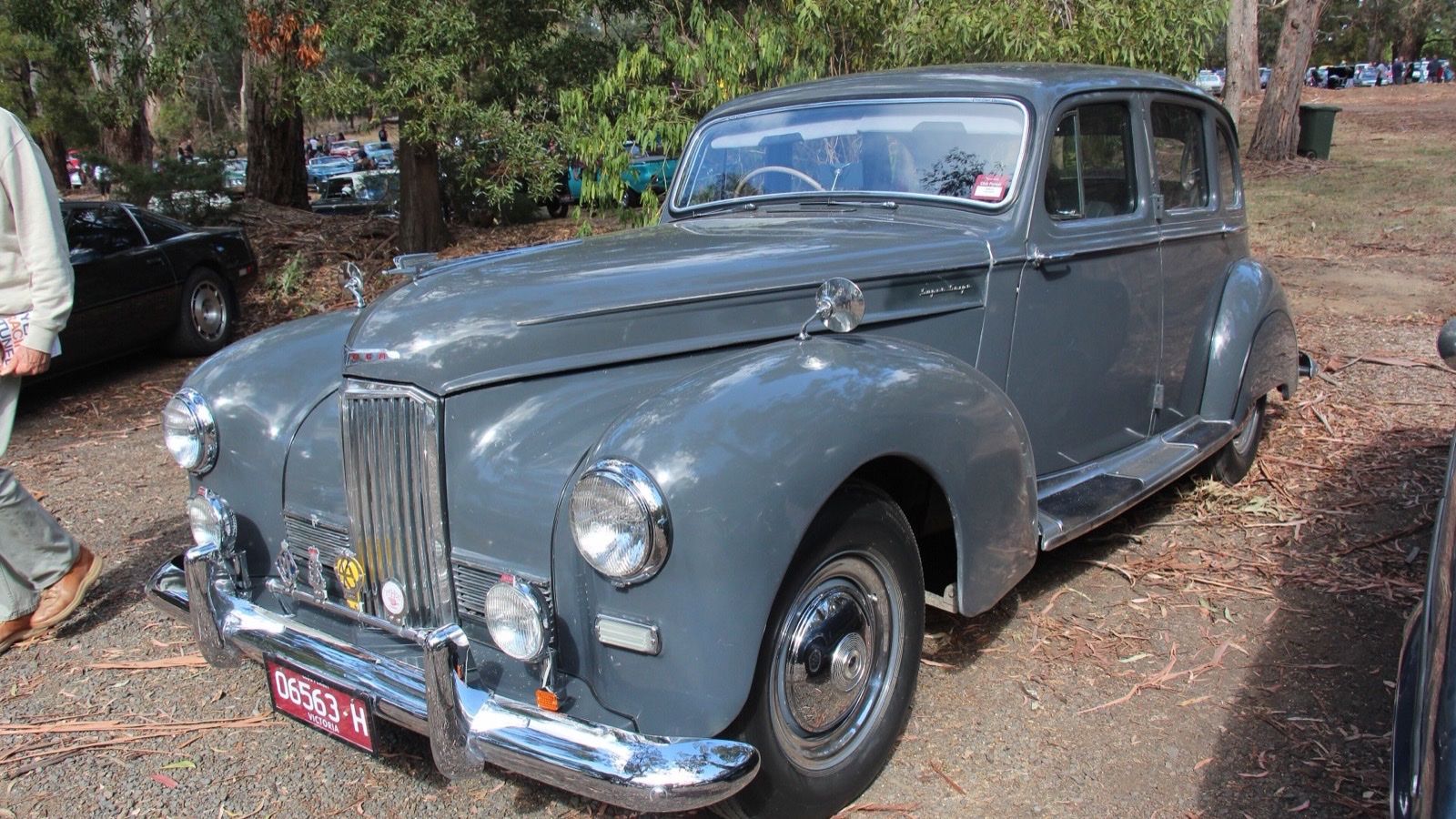 Grey 1951 Humber Super Snipe Mk III saloon among trees, front three-quarter view