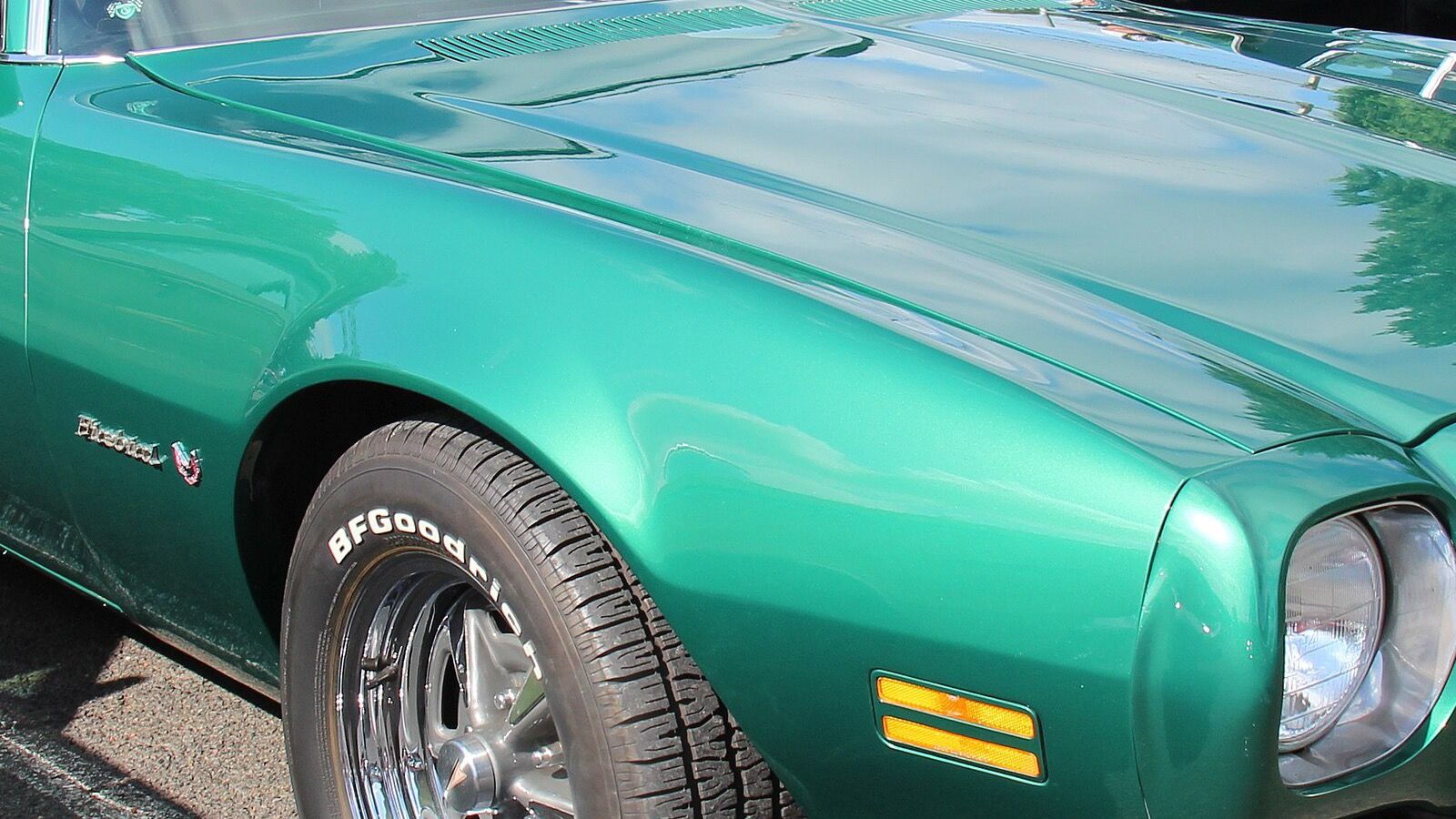 1973 Pontiac Firebird — exact-model-year car