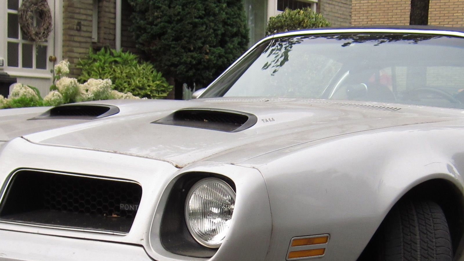 1976 Pontiac Firebird — exact-model-year car