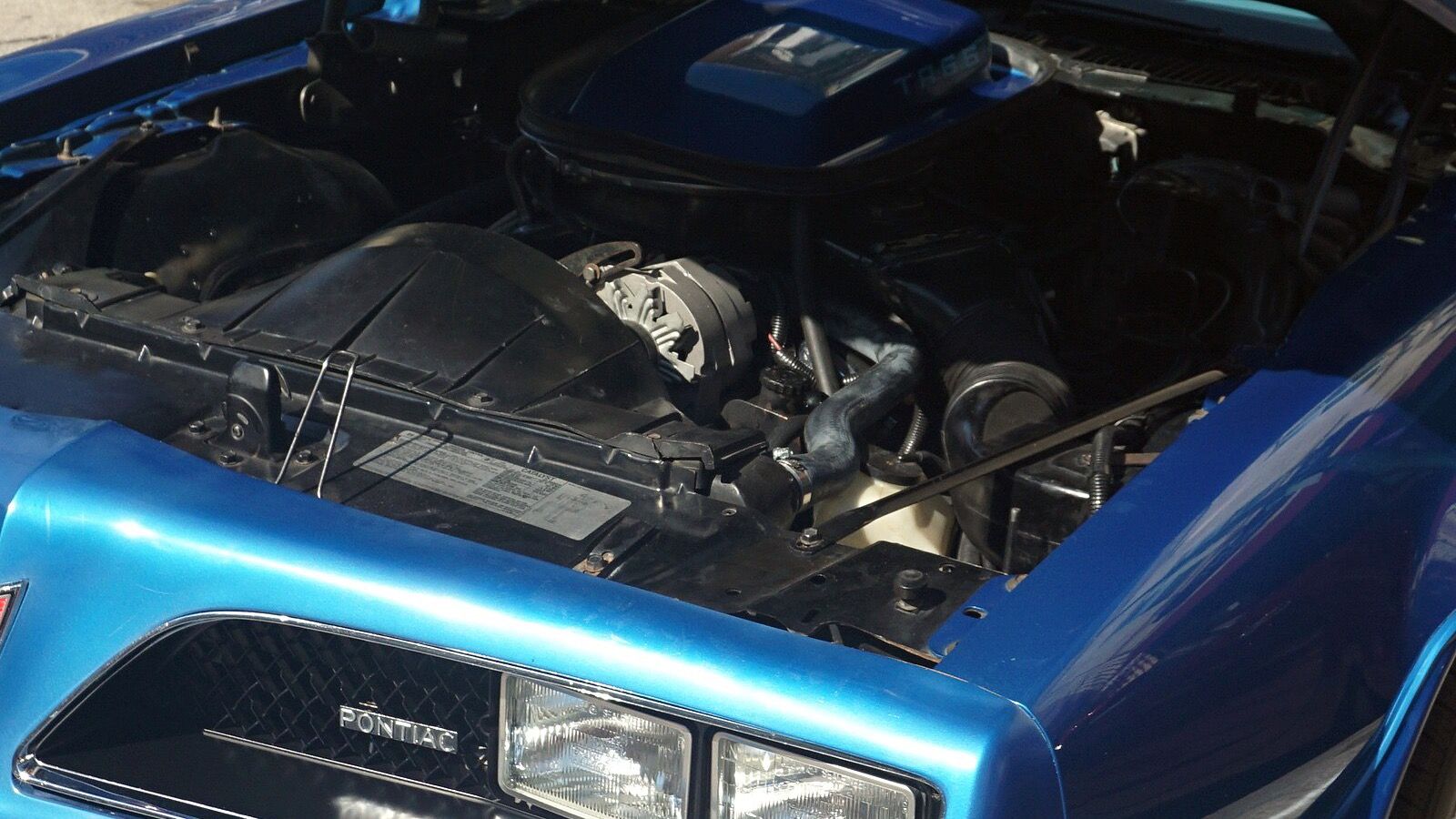 1978 Pontiac Firebird — exact-model-year car