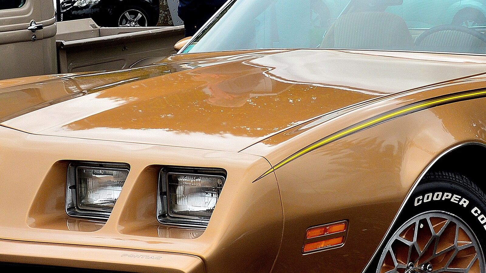 1981 Pontiac Firebird — exact-model-year car