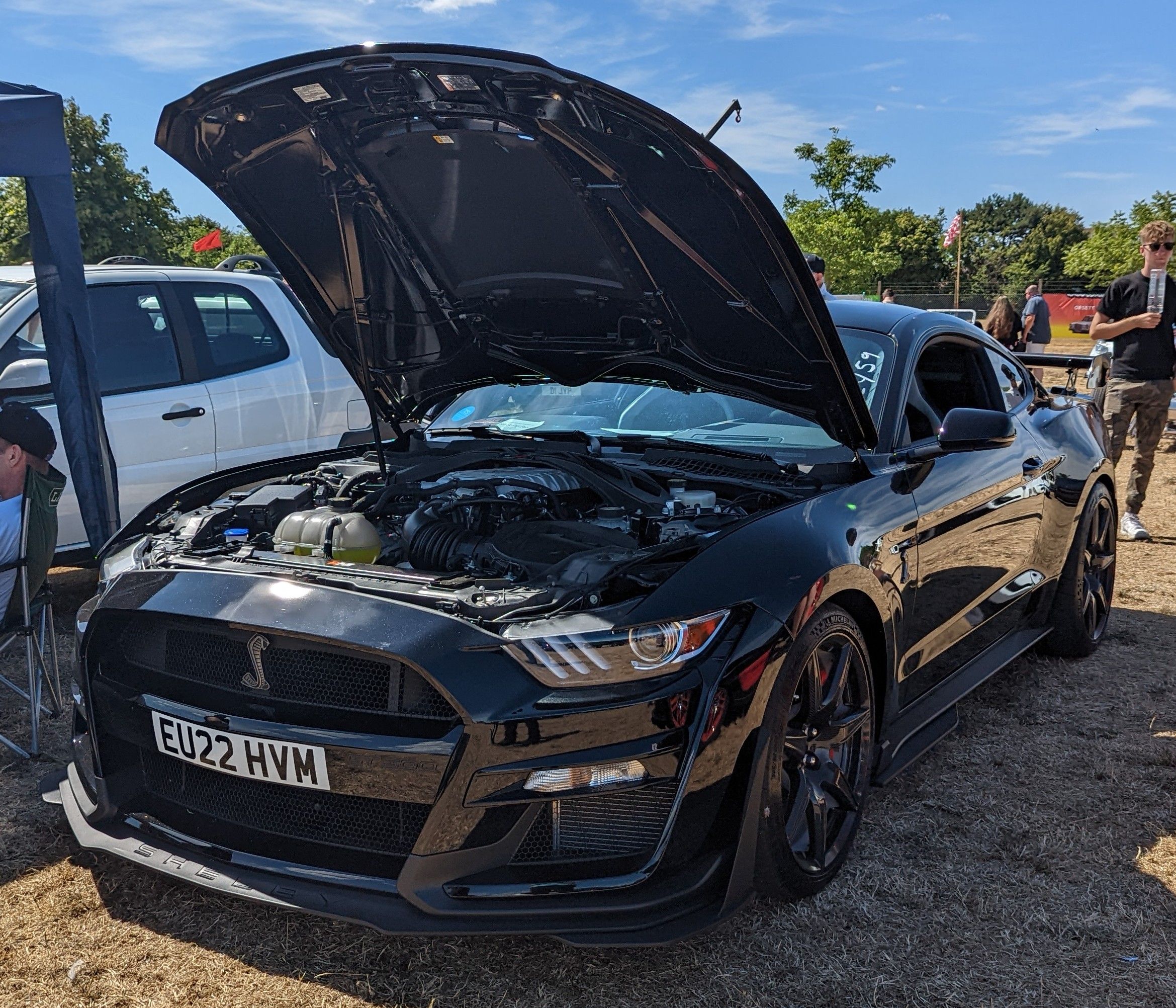 2022 Ford Mustang Shelby GT500 (S550 Predator), front three-quarter view
